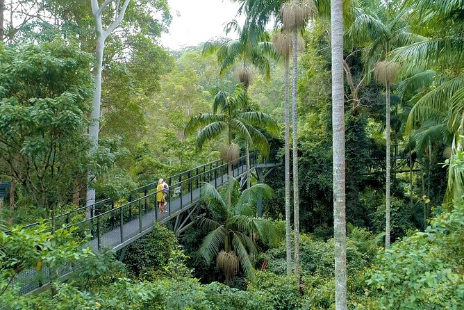 Tamborine Rainforest Skywalk Hop on Hop off Shuttle - Shuttle Service Booking Instructions