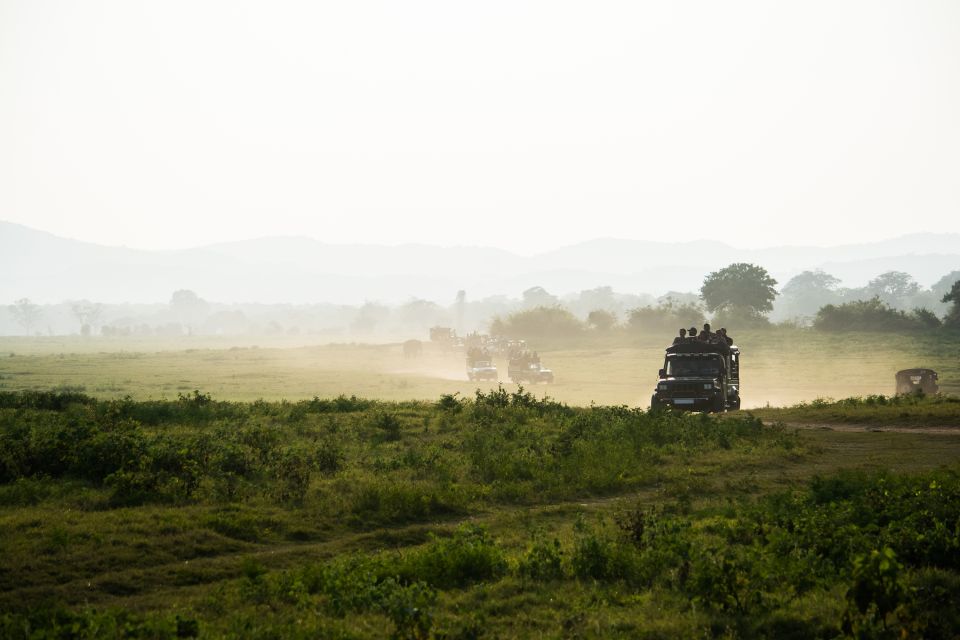 Tangalle/Hiriketiya: Yala National Park Safari in a 4x4 - Location Information