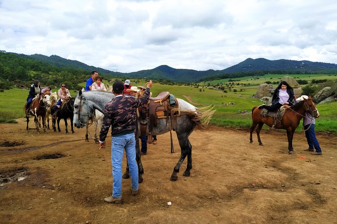 Tapalpa Tour: Full-day Mountains Private Experience - Traveler Reviews