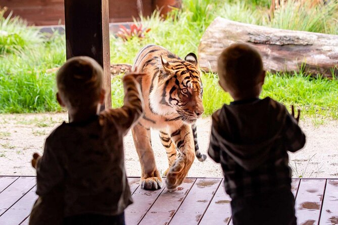 Taronga Zoo Sydney Harbour Hopper Combo Passes - Additional Information