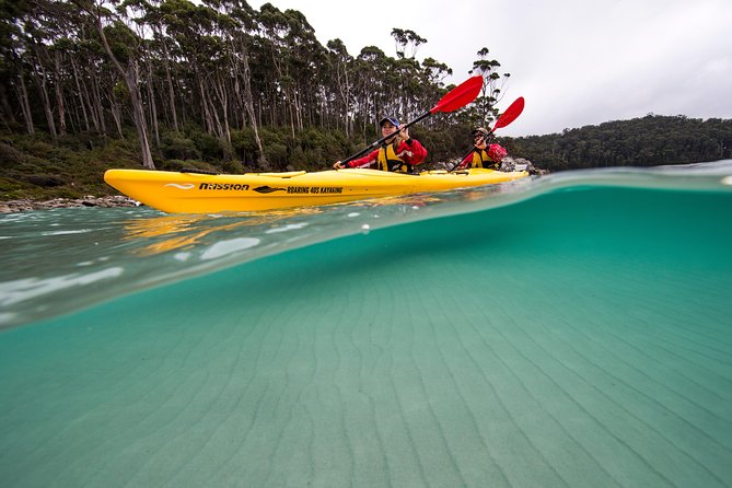 Tasman Peninsula Full Day Kayaking Tour - Refund Information