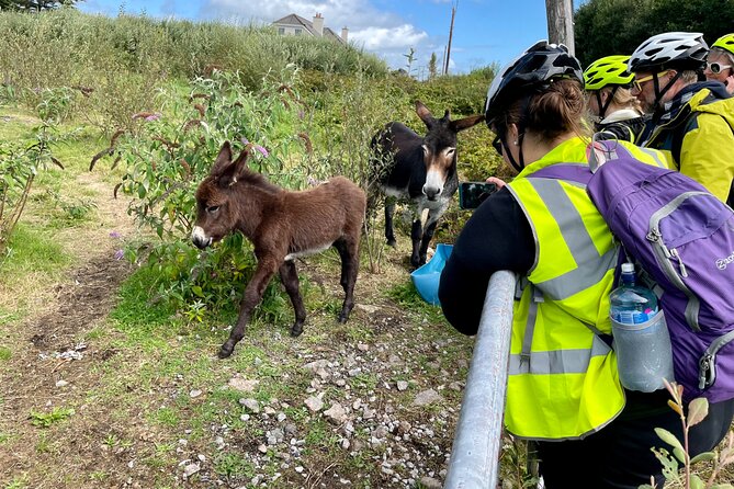 Taste of Connemara Tour by Electric Fat Tyre Bike - Safety Guidelines