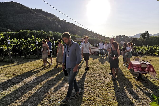 Tasting in a Tuscan Vineyard With Transfer From Lucca - Pickup and Drop-off