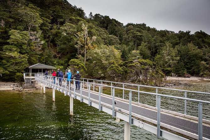 Te Anau Glow Worm Caves Tour - Cancellation Policy & Highlights