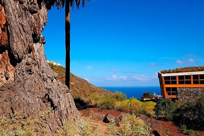 Tenerife Highlights Full-Day Tour - Tour Guide and Driver Experience