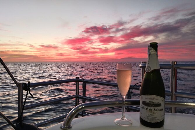 Tenerife Sunset Catamaran Tour With Transfer - Food and Drinks Included. - Traveler Experience Highlights