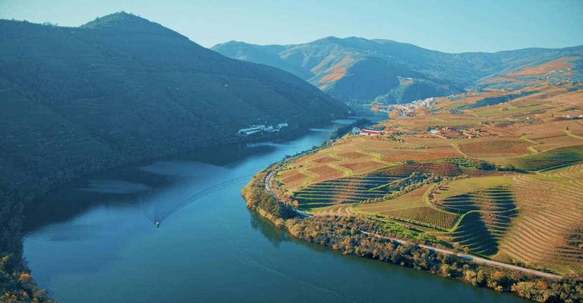 The Best Douro Wine Tour From Porto - Reservation Process