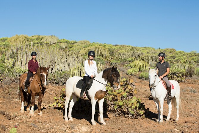 The Best Horse Riding Experience in Gran Canaria (2 Hours) - Directions and Transportation