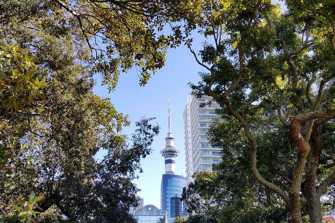 The Best of Auckland City Walking Tour - Testimonials From Previous Participants