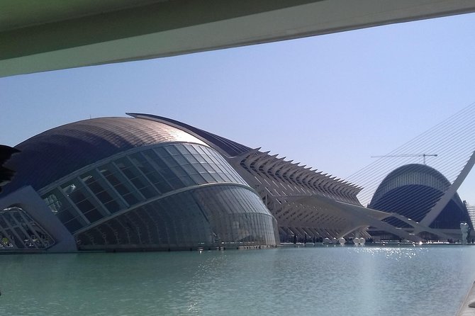 The City of Arts and Sciences in Valencia - Additional Information