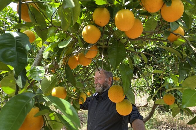 The Cretan Way of Life at the Mountains of Rethymno (Mylopotamos) - Explore Orange Groves and Weddings