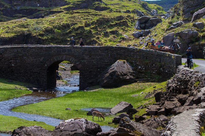 The Gap of Dunloe Full-Day Tour From Killarney - Tour Experiences