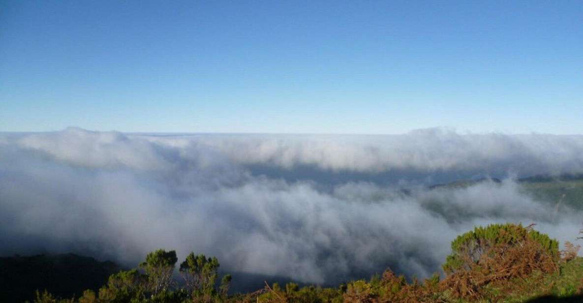 The High Plateaus of the West : Fanal and Bica Da Cana - Activities During the Tour