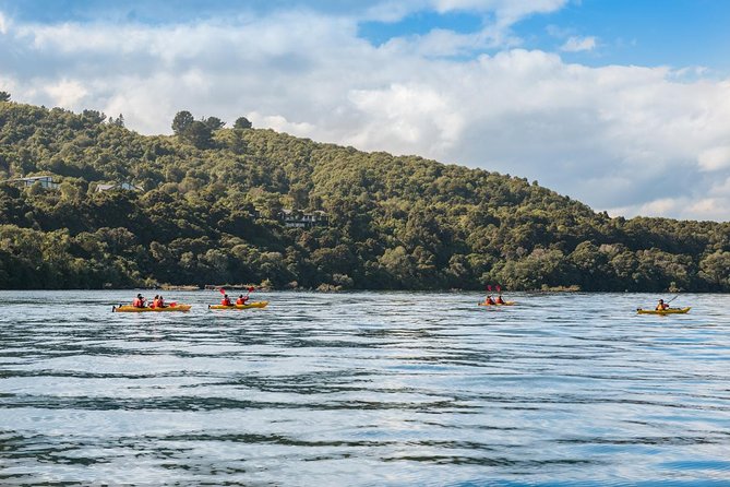 The Maori Carvings Half Day Kayak - Common questions