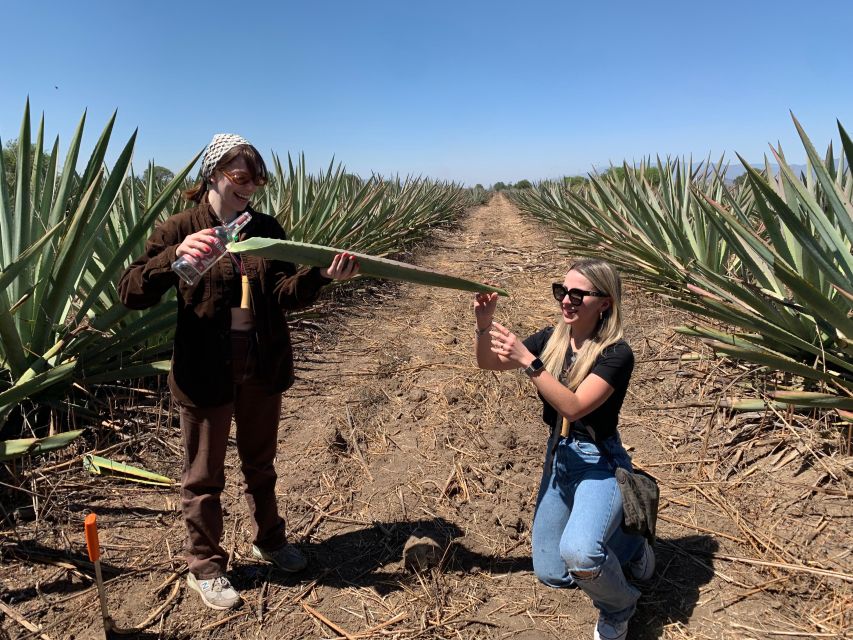 The Mezcal Journey - Inclusions and Tips