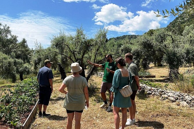 The Olive Oil Experience @ Lefkada Micro Farm - Allergies and Restrictions