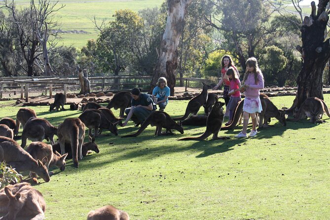 The Port Arthur MEGA Day Trip From Hobart - Explore Port Arthur Grounds