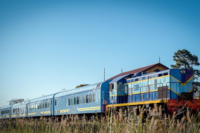 The Q Train - Table For 2 - Lunch (Departing Drysdale) - Reviews and Feedback