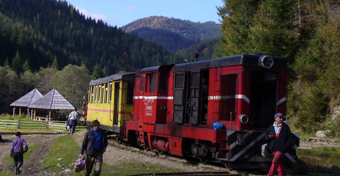 The Trains of Romania in 9 Days - Witness Narrow-Gauge Line Restoration