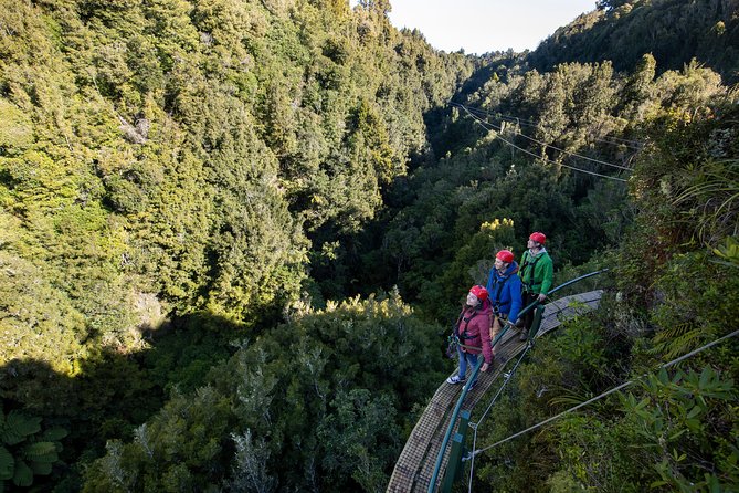 The Ultimate Canopy Zipline Experience Private Tour From Auckland - Booking Information