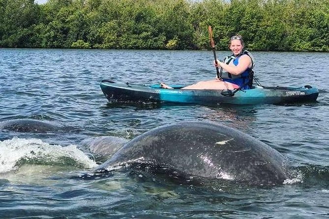 Thousand Island Mangrove Tunnel, Manatee & Dolphin Kayak Tour W/Cocoa Kayaking - Guide Experience