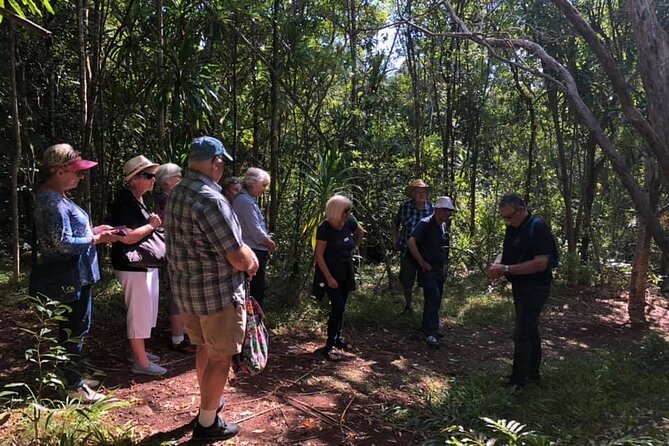 Three-Hour Guided Bushwalk With Breakfast, Cook Monument (Mar ) - Reviews and Pricing