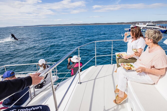 Three-Quarter Day Hervey Bay Premium Whale Watching Cruise - Overall Experience