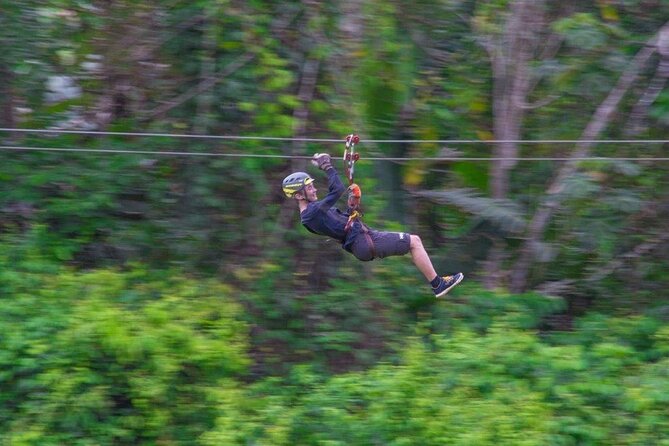 Thrilling Zipline Adventure at Bocawina Rainforest - Traveler Testimonials