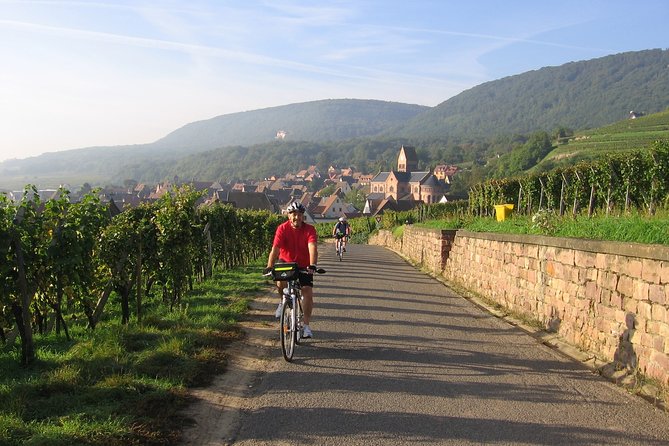 Through Alsace Vineyards and Wine Villages Private Bike Tour - Cancellation Policy Details