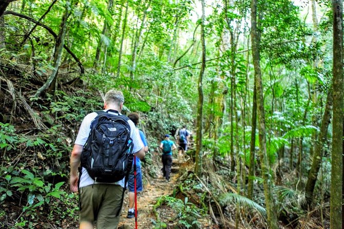 Tijuca Forest Half-Day Hike (Small Group or Private) - Additional Information