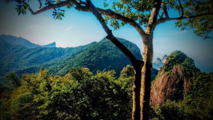 Tijuca National Park Small-Group Hike to Pedra Bonita - Safety Precautions