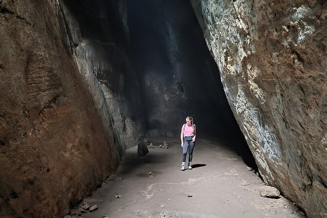 Tijuca National Park Tour: Small-Group Tour From Rio  - Rio De Janeiro - Off the Beaten Track Experience