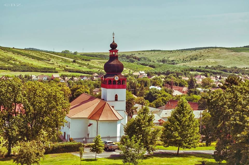 Tokaj and Sárospatak Private Day Tour From Budapest - Cellar Tour and Tasting