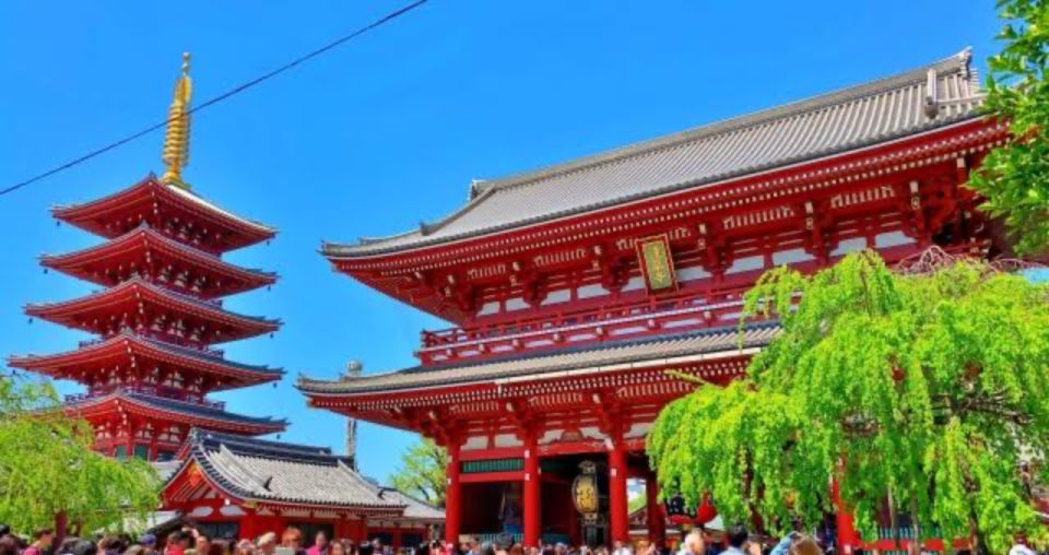 Tokyo: 1 Day Private Customizable City Tour by Car and Van - Tour Experience