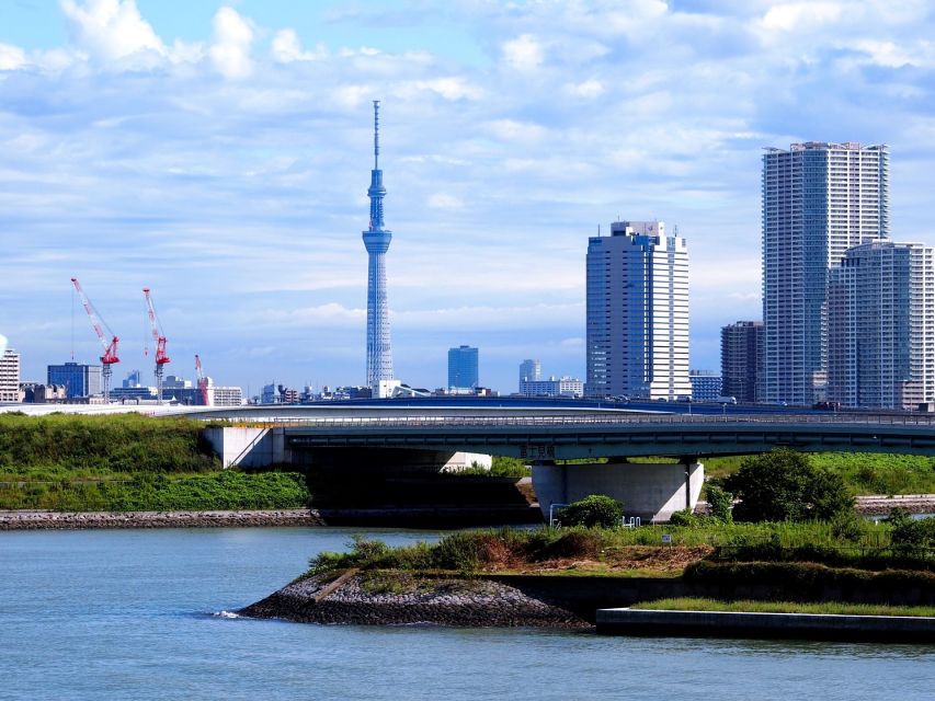 Tokyo: 1-Day Private Customizable Tour by Car - Customer Feedback and Testimonials