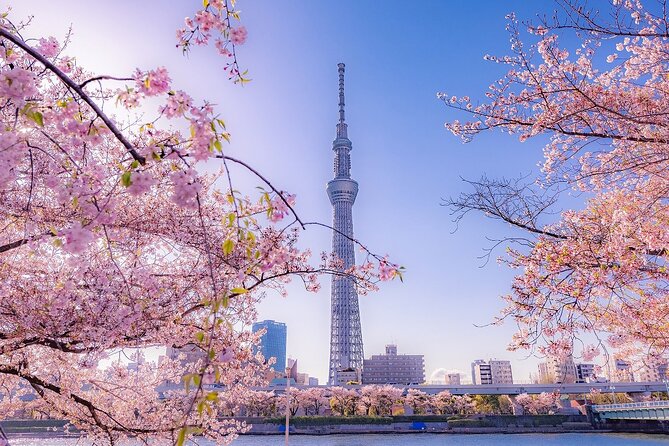 Tokyo Asakusa Half Day Walking Tour With Local Guide - Booking Information