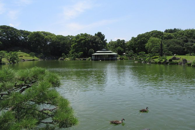 Tokyo by Bike: Skytree, Kiyosumi Garden and Sumo Stadium - Tour Experience