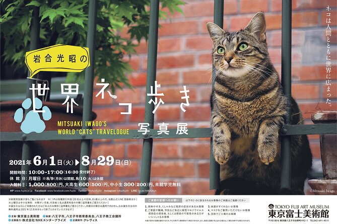 Tokyo Fuji Art Museum Admission Ticket Special Exhibition (When Being Held) - Inclusions and Amenities