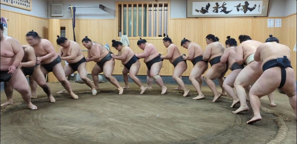 Tokyo: Morning Sumo Practice Viewing - Capture Photos With Elite Wrestlers