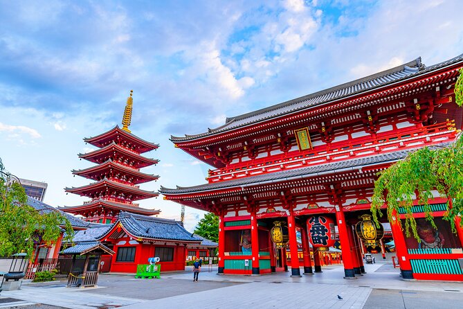 Tokyo Private Tour - Tour Guide Expertise