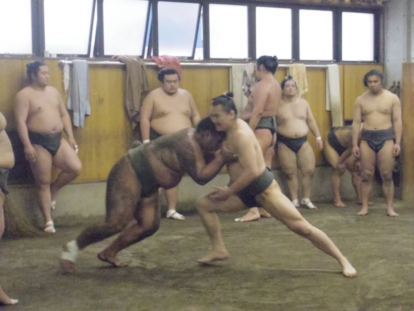 Tokyo: Sumo Morning Practice Viewing Tour - Customer Experience