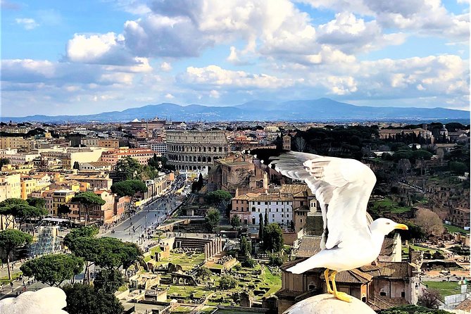 Top Rome Sites in 1 Day - WOW Tour - Luxury Car, Tickets, Lunch - Reviews and Ratings Summary