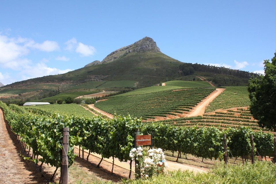 TOP THREE WINELANDS PRIVATE TOUR With Pairings - Booking Information and Logistics