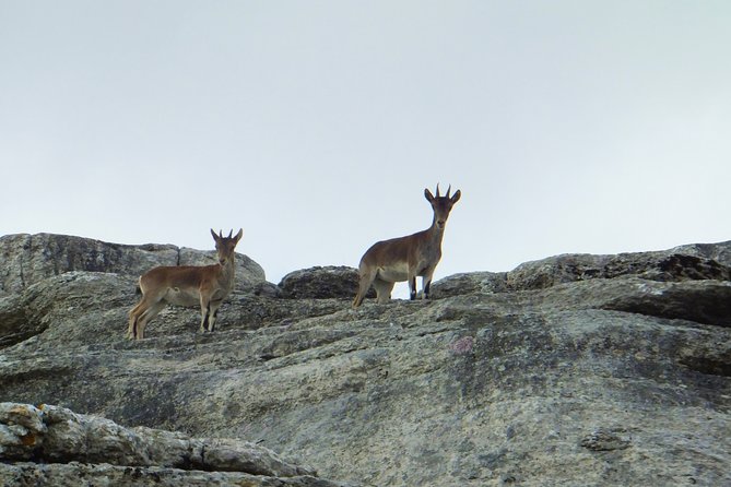 Torcal De Antequera Hiking Tour From Málaga - Cancellation Policy