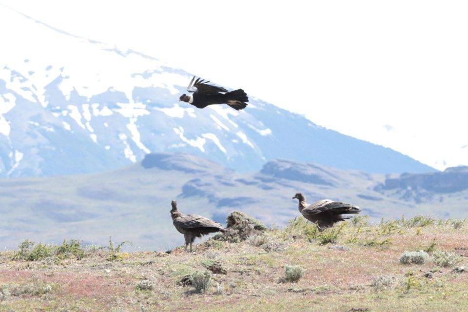 Torres Del Paine Photographic Safari - Important Tour Observations