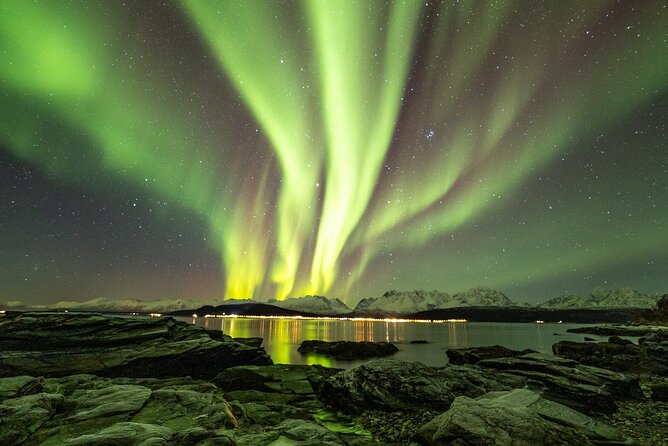 Tour in Search of the Northern Lights in Tromso - Traveler Experiences