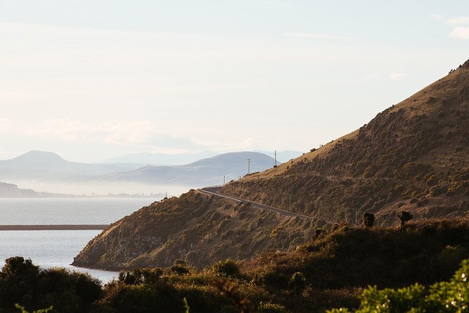 Tour of Larnachs Castle and Wildlife Cruise on Otago Harbour  - Dunedin & The Otago Peninsula - Additional Details