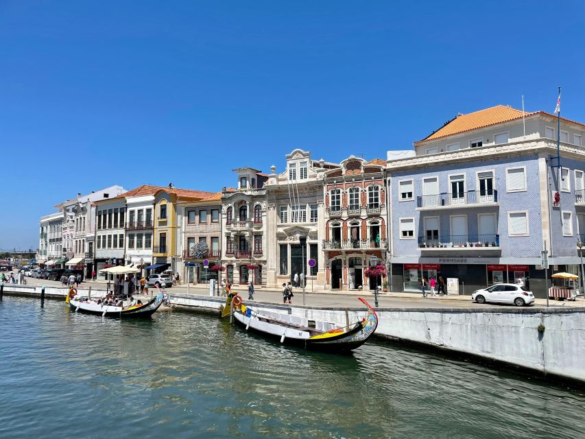 Tour Porto and Aveiro *Private Tours* - Porto Cultural Exploration and River Cruise