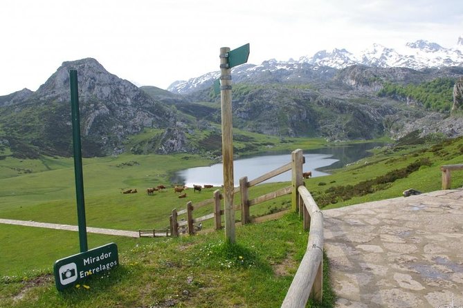 Tour to the Lakes of Covadonga and Sanctuary From Oviedo - Last Words
