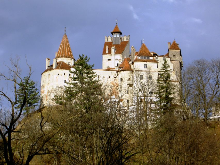 Transylvania: Cultural Full-Day Trip by Minivan - Booking Flexibility and Reservation Details